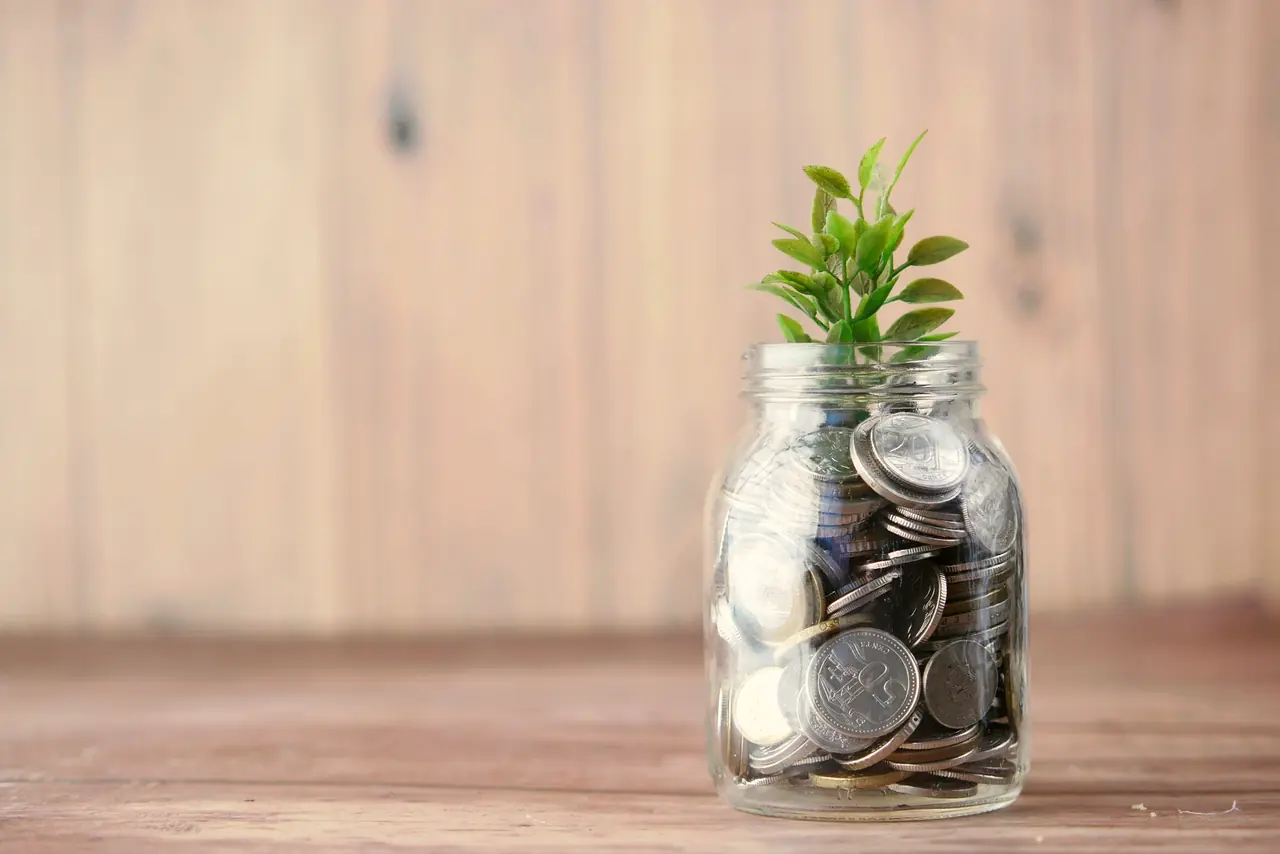 A jar of coins with a seedling growing from it
